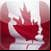 News Canada Lite