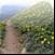 Trailguru