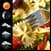 Weather Clock Widget Pasta