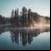 Forest around the world 4K غابات