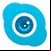 Skype Vedio