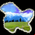 Kashmir News Update