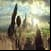 oz the great and powerful 