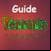 Guide Terraria