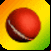 Cricket Zone
