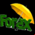 Forex Trading Focust